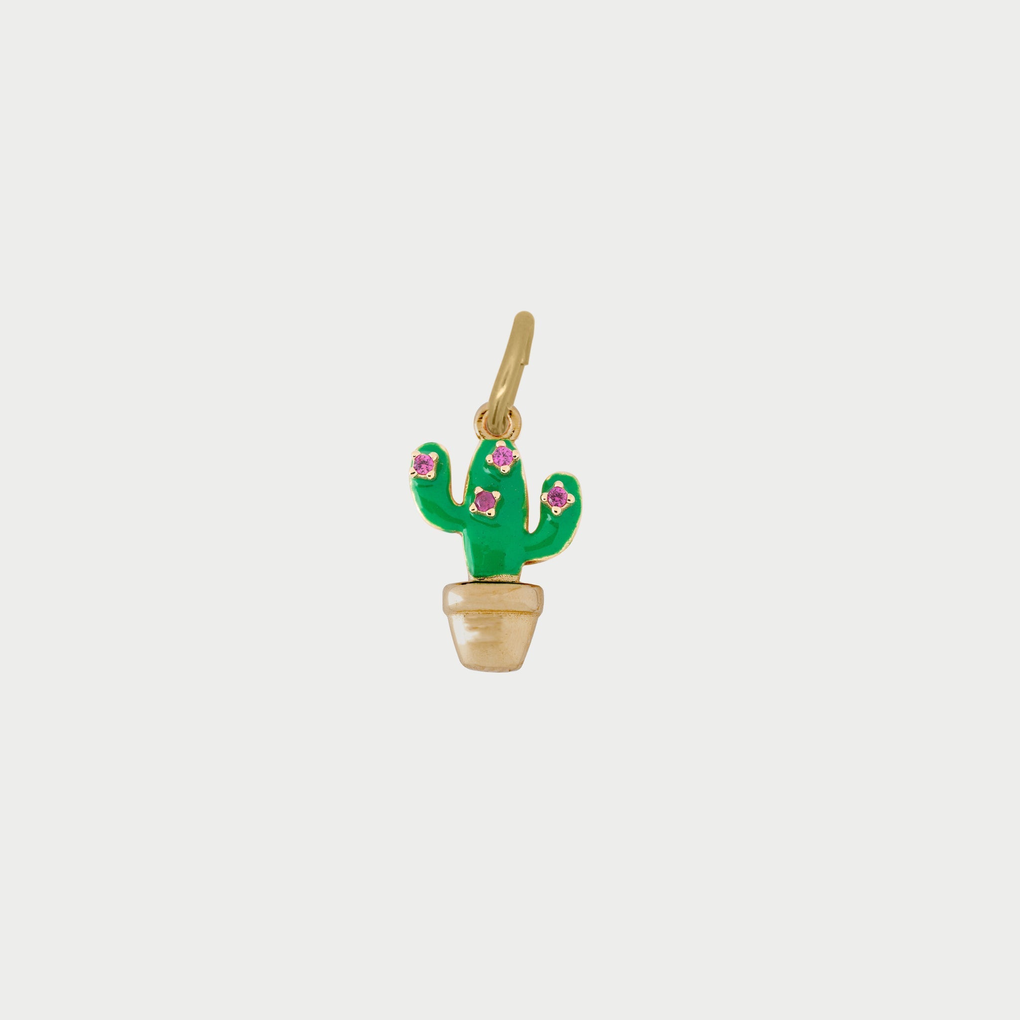 Charm Cactus
