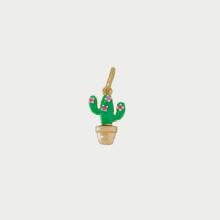 Charm Cactus