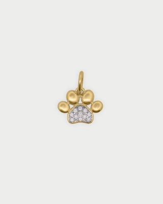 Charm zampetta
