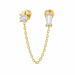Double Light Chain